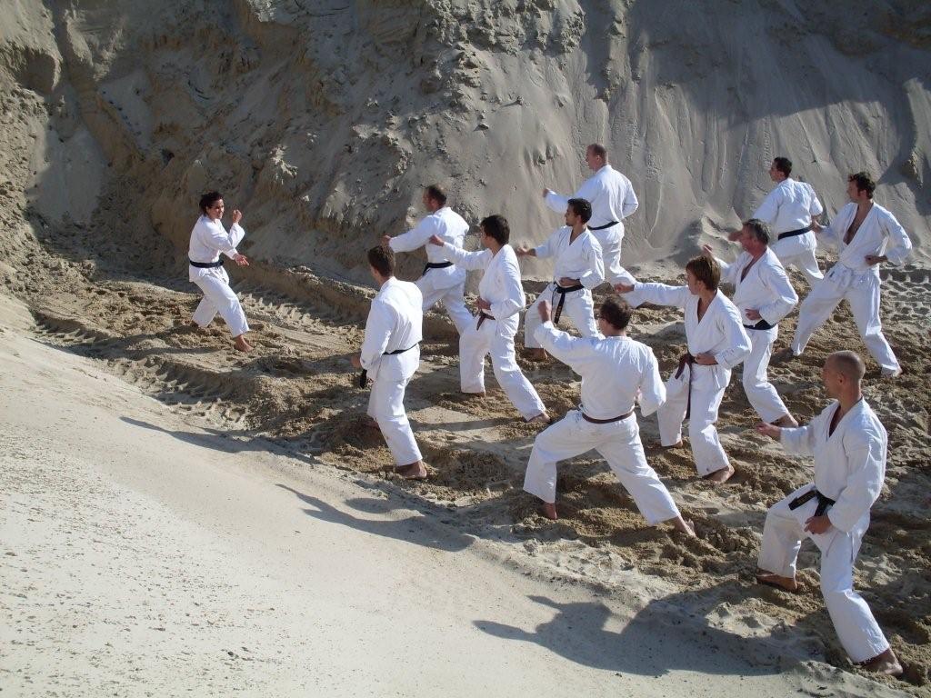 Shotokan Karate Haan